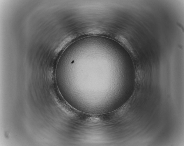X0000100970159200807011428