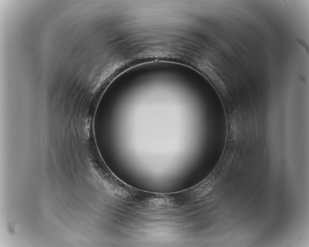 X0000100970160200807011428