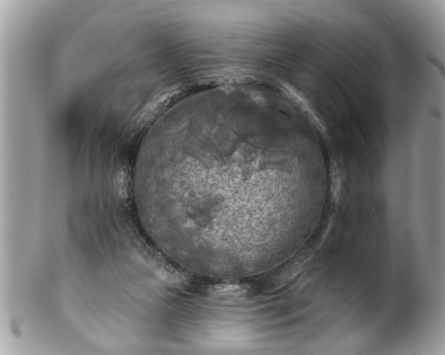 X0000100970161200807011428