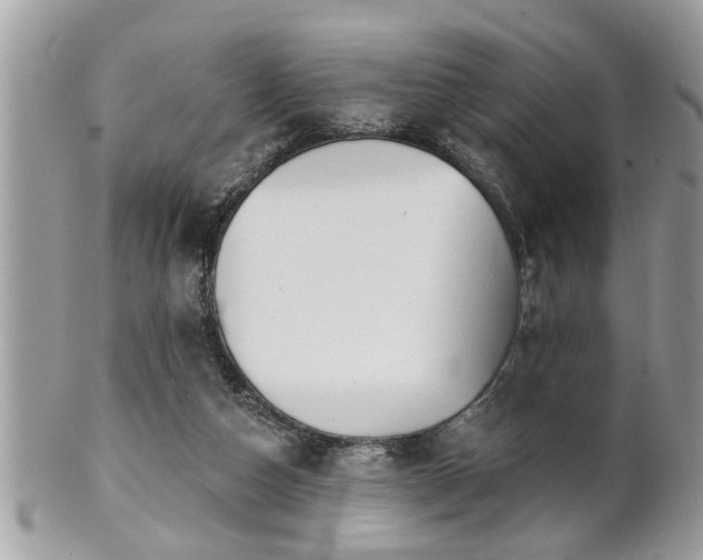 X0000100970162200807011428