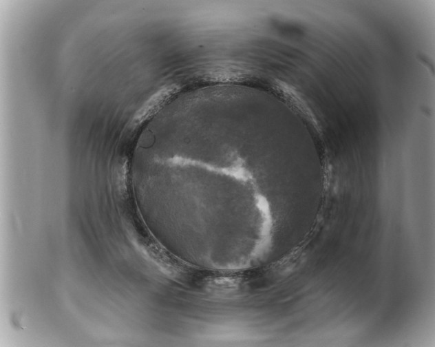 X0000100970163200807011428