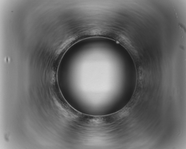 X0000100970164200807011428