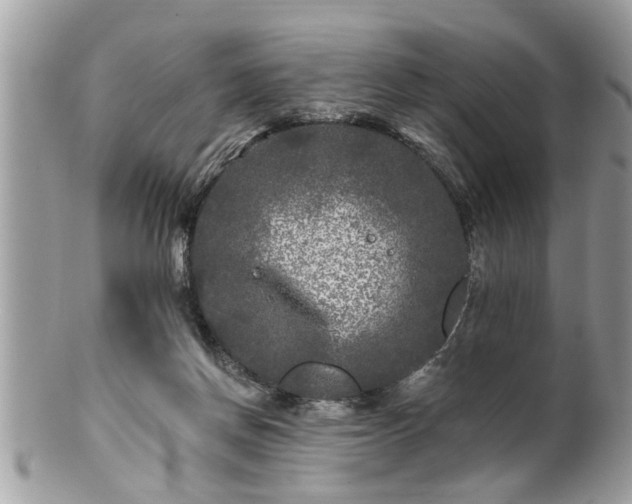 X0000100970166200807011428