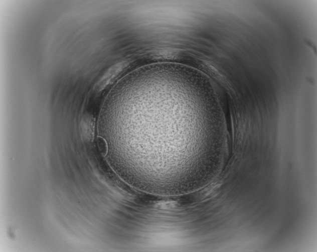 X0000100970168200807011428