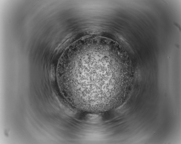 X0000100970170200807011428