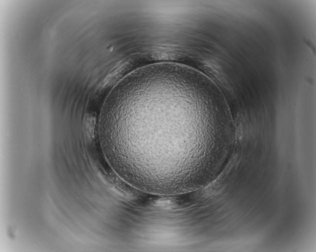 X0000100970171200807011428