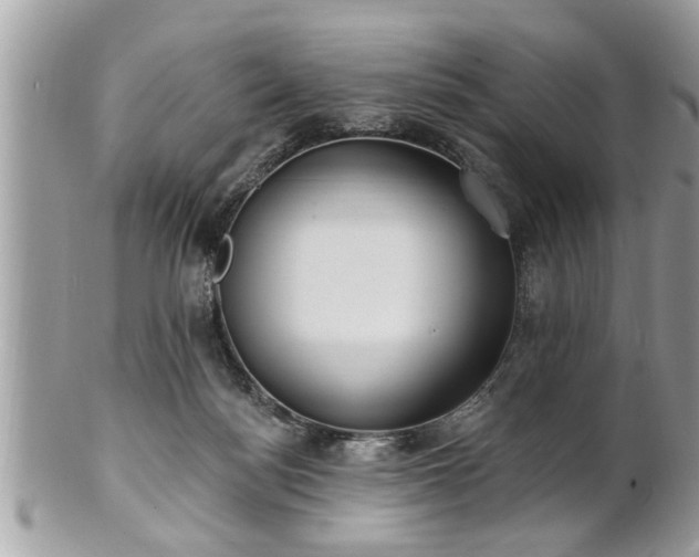 X0000100970172200807011428