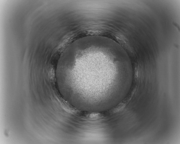 X0000100970173200807011428
