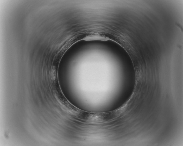 X0000100970174200807011428