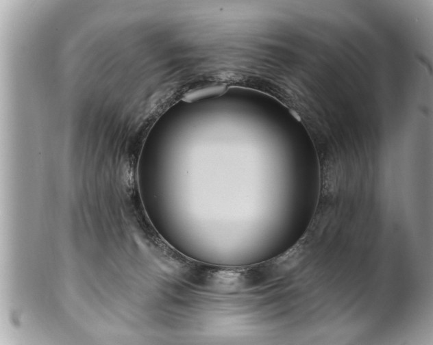 X0000100970176200807011429