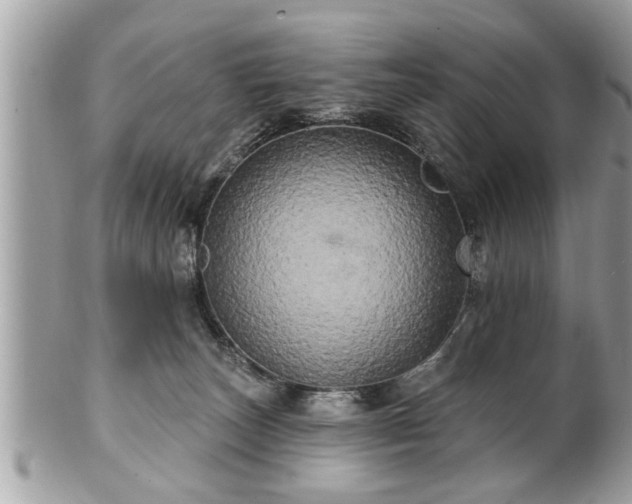 X0000100970179200807011429