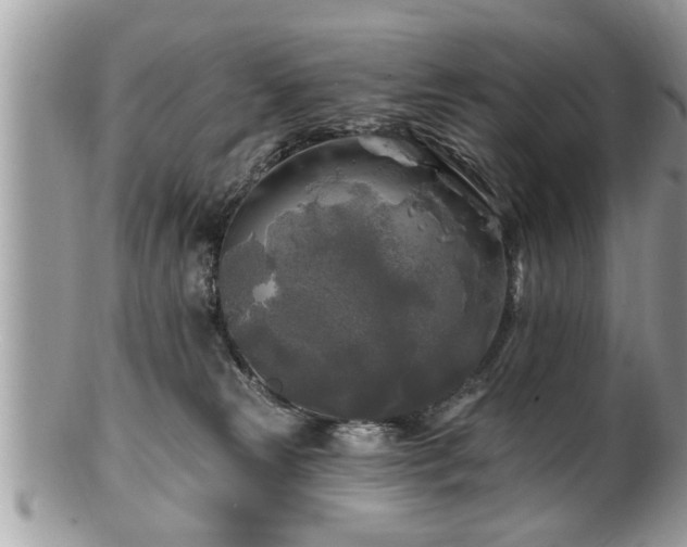 X0000100970181200807011429