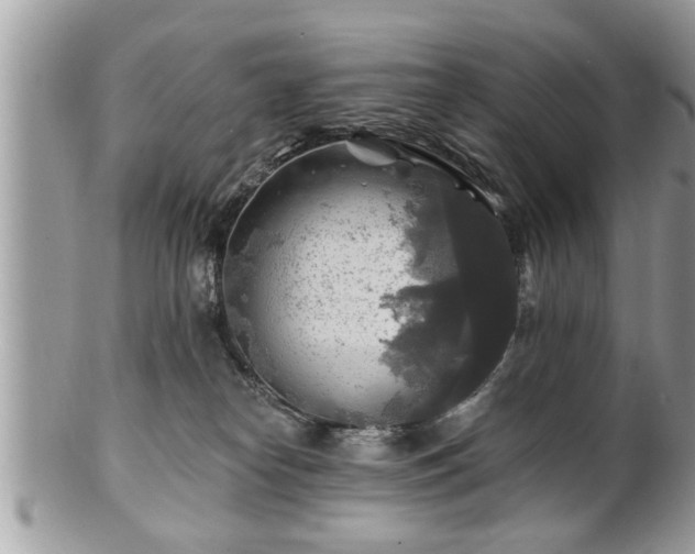 X0000100970182200807011429