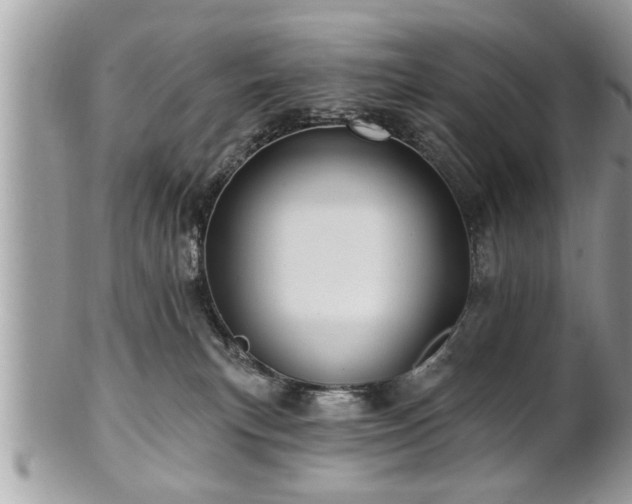 X0000100970183200807011429