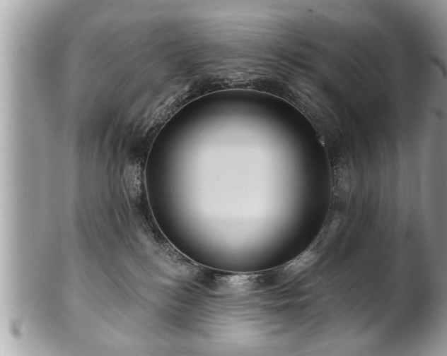 X0000100970184200807011429