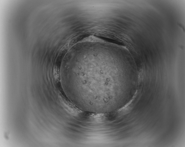 X0000100970186200807011429