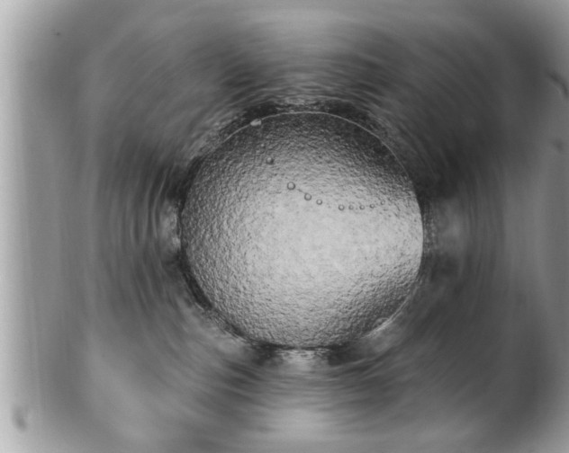 X0000100970187200807011429