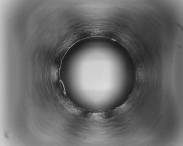 X0000100970188200807011429