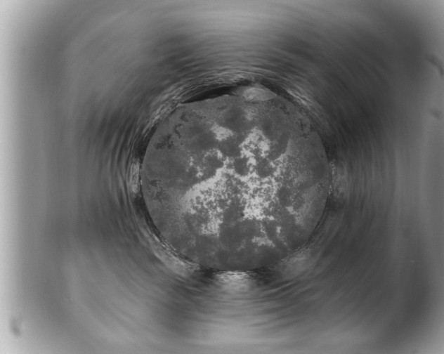 X0000100970189200807011429
