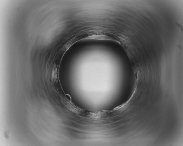 X0000100970190200807011429