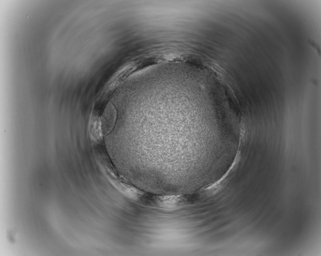 X0000100970191200807011429