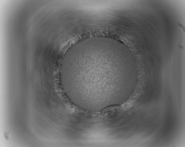 X0000100970192200807011429