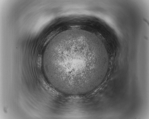 X0000100970194200807011428