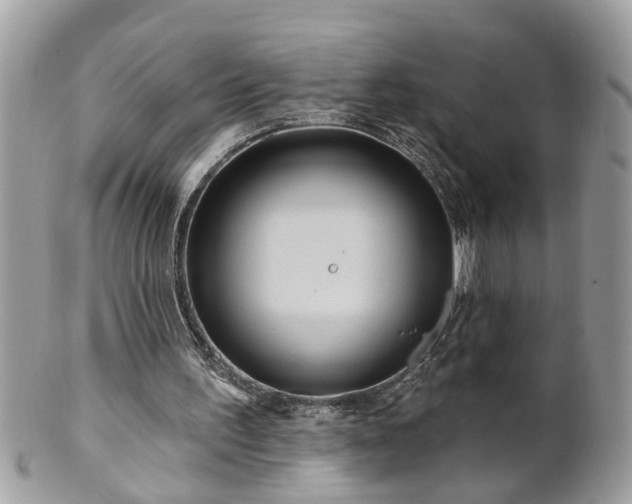 X0000100970195200807011428