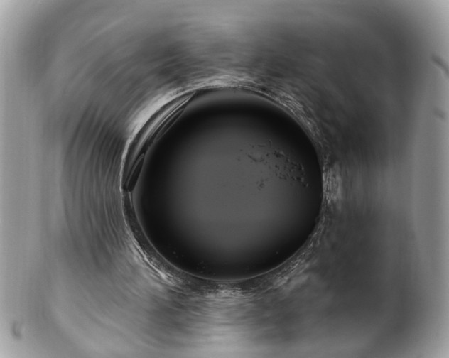 X0000100970196200807011428