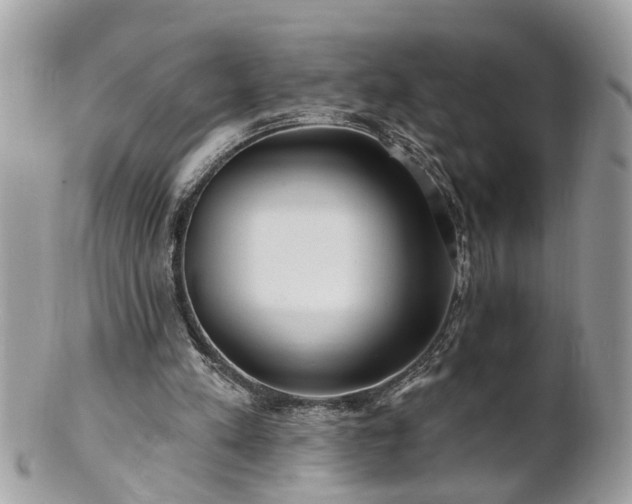 X0000100970197200807011428