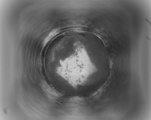 X0000100970198200807011428