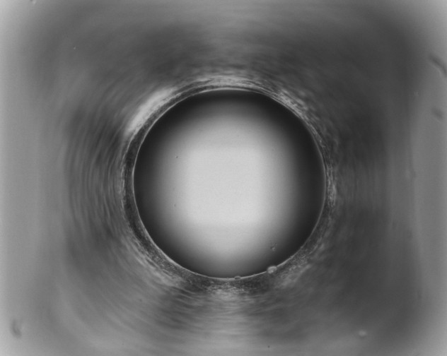 X0000100970199200807011428