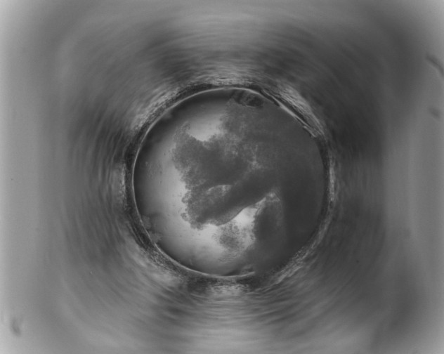 X0000100970202200807011428