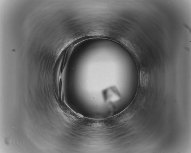 X0000100970204200807011428
