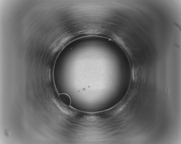 X0000100970205200807011428