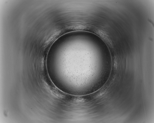 X0000100970206200807011428