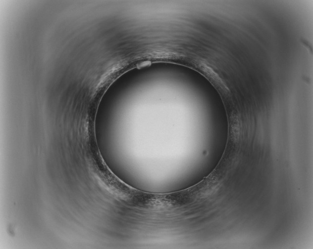 X0000100970207200807011428