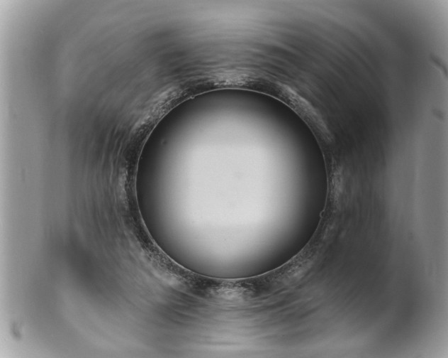 X0000100970209200807011428