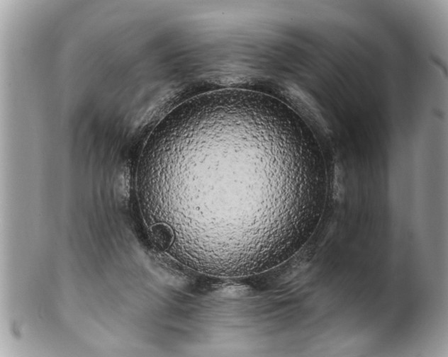 X0000100970210200807011428