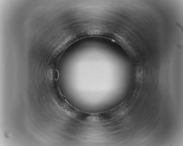 X0000100970211200807011428
