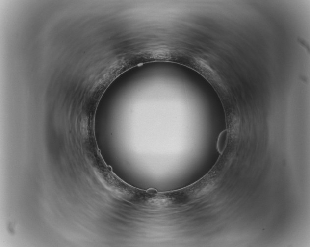 X0000100970213200807011428