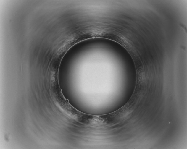 X0000100970215200807011428