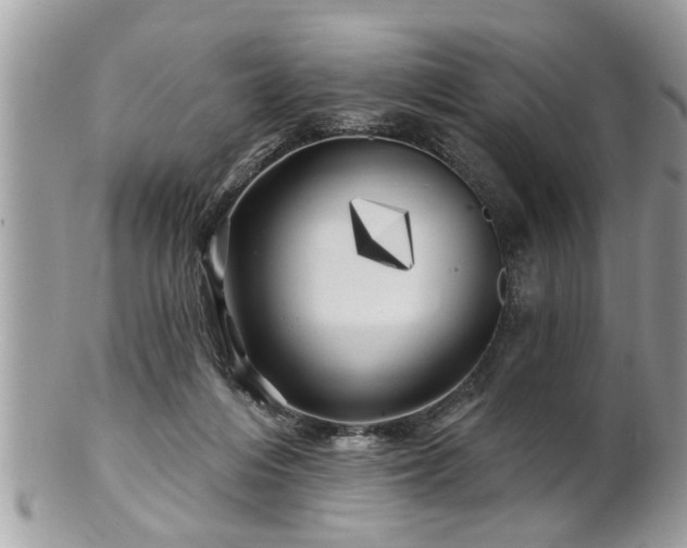 X0000100970216200807011428