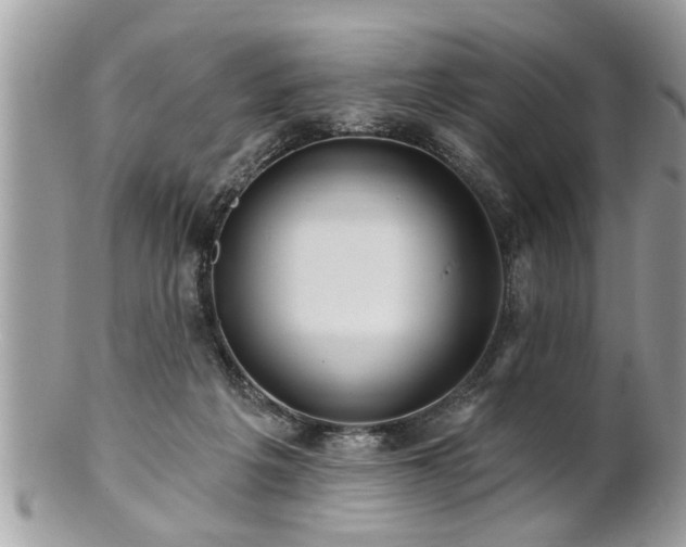 X0000100970217200807011428