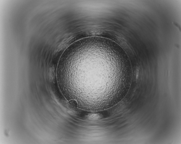 X0000100970218200807011428