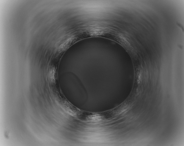 X0000100970219200807011428