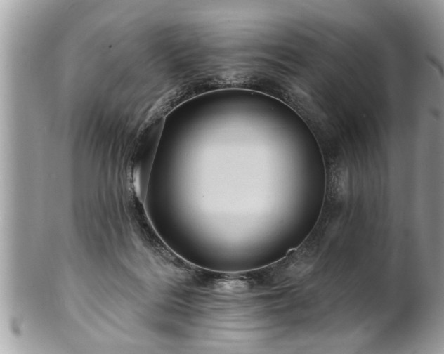X0000100970220200807011428