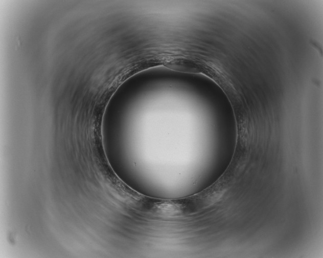 X0000100970221200807011428