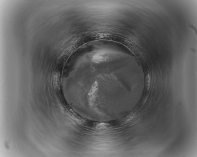 X0000100970222200807011428