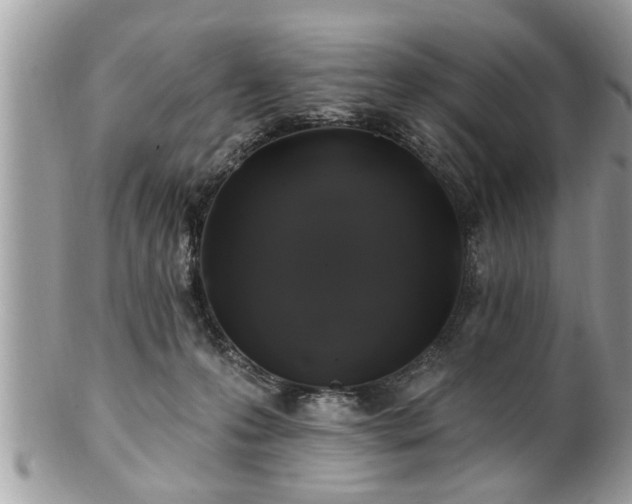 X0000100970223200807011428